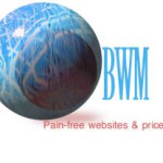 Budget Web Marketers